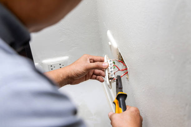 Best Electrician for Home Renovation  in Taylor, MI